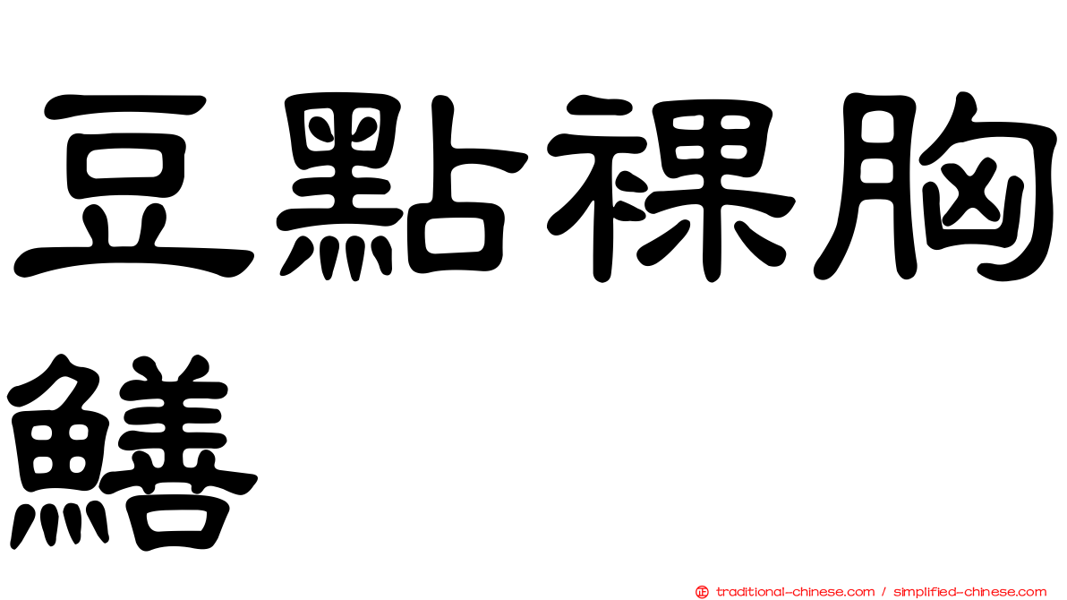豆點裸胸鱔