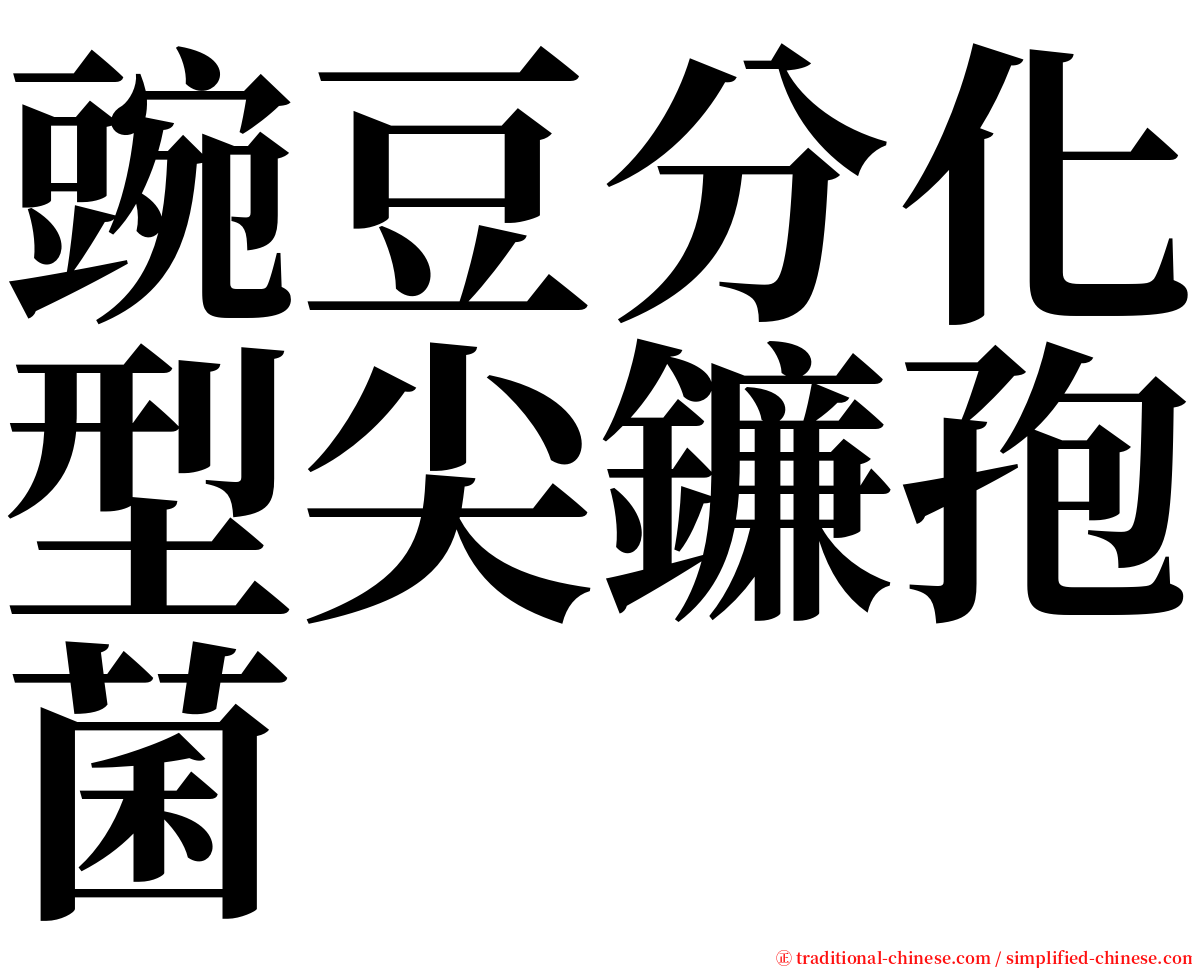 豌豆分化型尖鐮孢菌 serif font