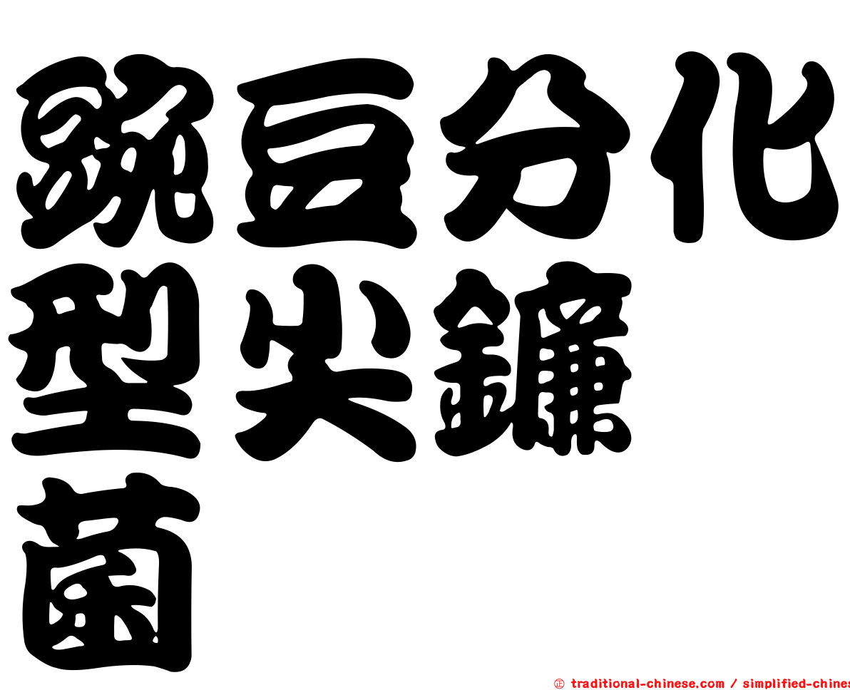 豌豆分化型尖鐮孢菌