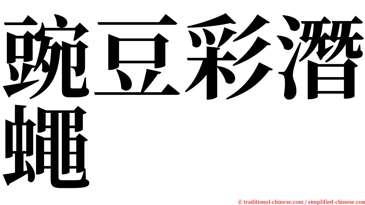豌豆彩潛蠅 serif font