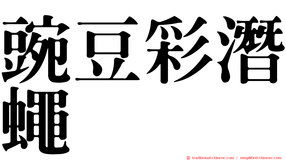 豌豆彩潛蠅