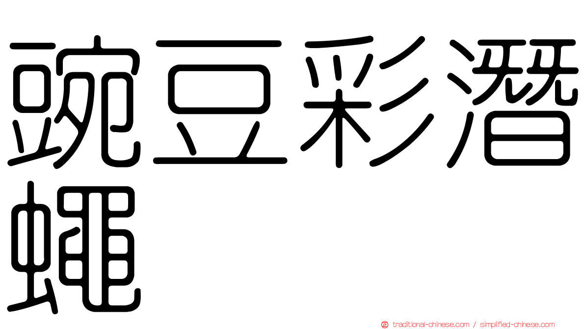 豌豆彩潛蠅
