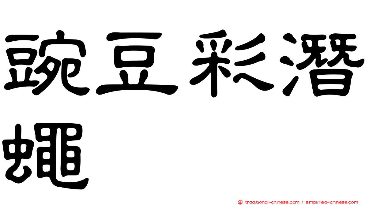 豌豆彩潛蠅