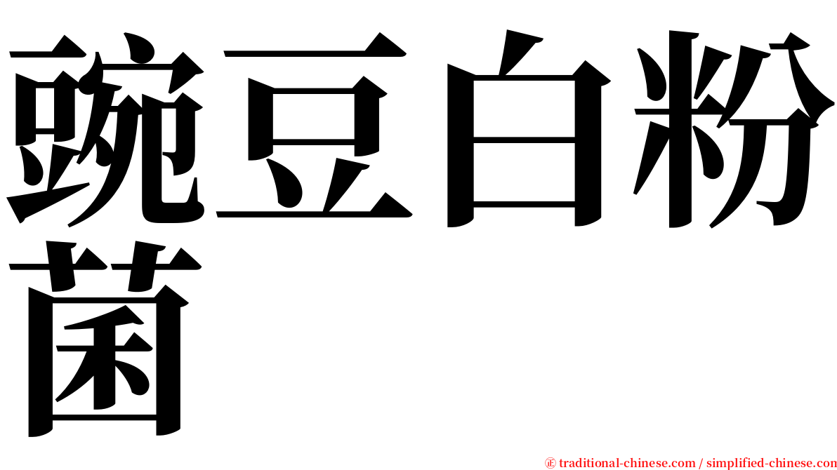 豌豆白粉菌 serif font