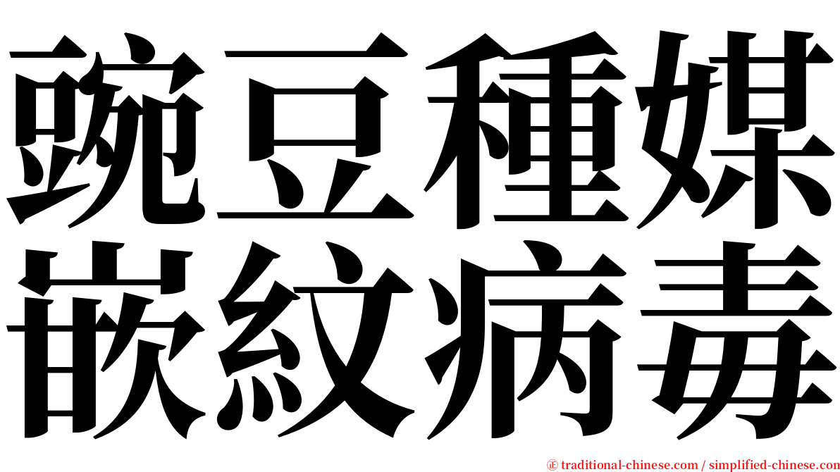 豌豆種媒嵌紋病毒 serif font