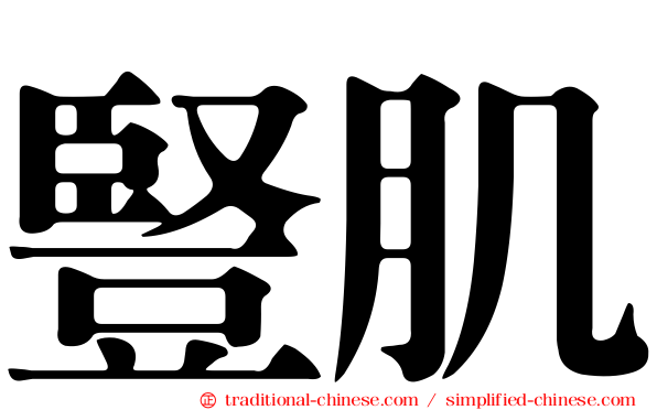 豎肌