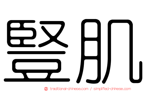 豎肌