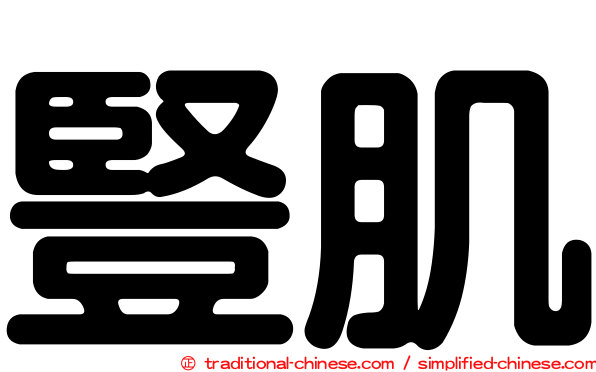豎肌