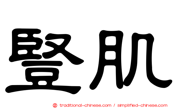 豎肌