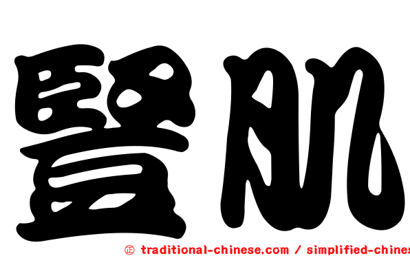 豎肌