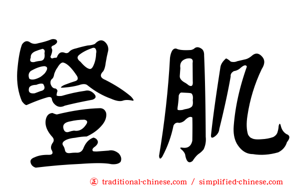 豎肌