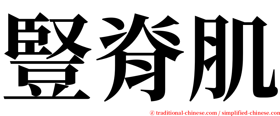 豎脊肌 serif font