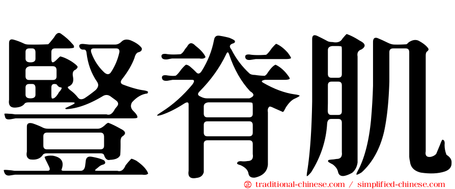 豎脊肌