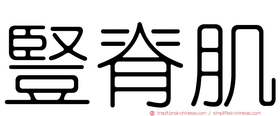 豎脊肌