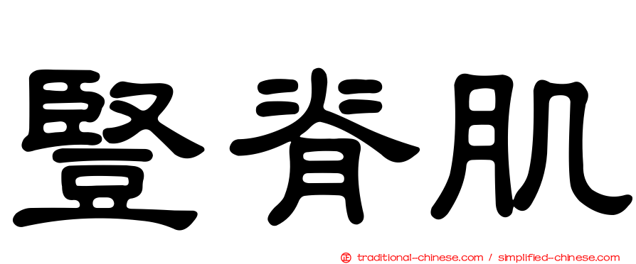 豎脊肌