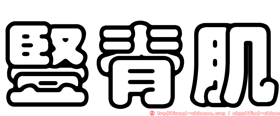 豎脊肌