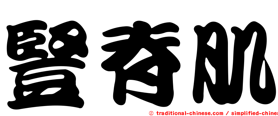 豎脊肌