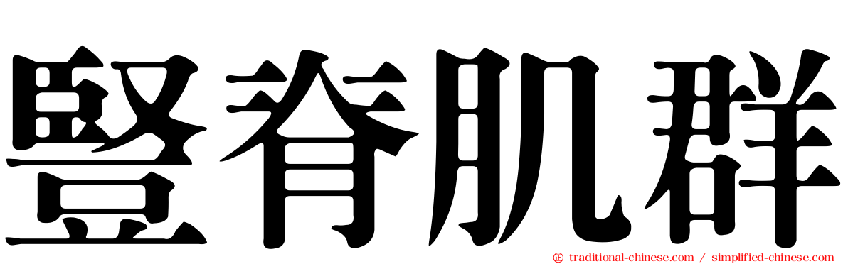 豎脊肌群