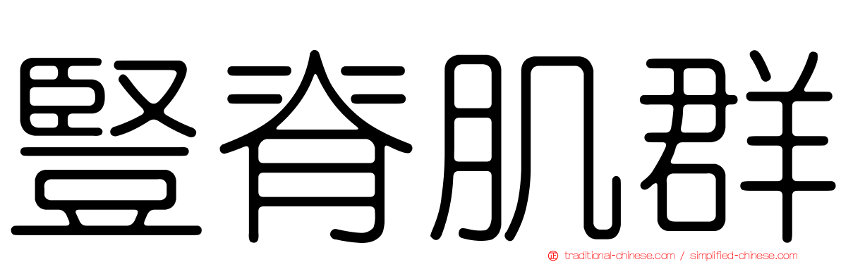豎脊肌群