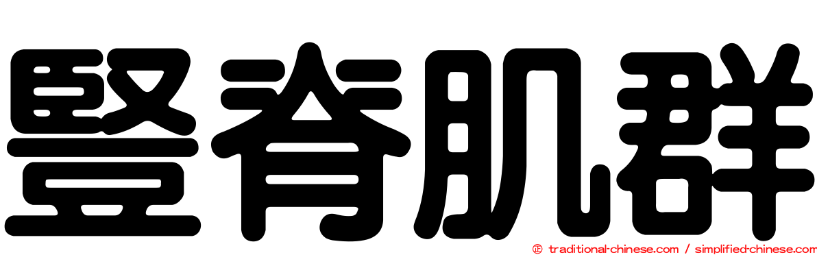 豎脊肌群