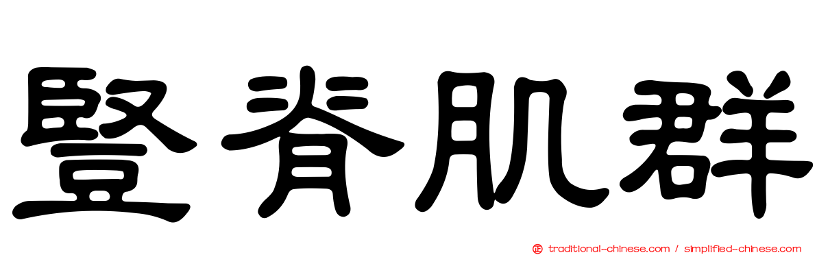 豎脊肌群