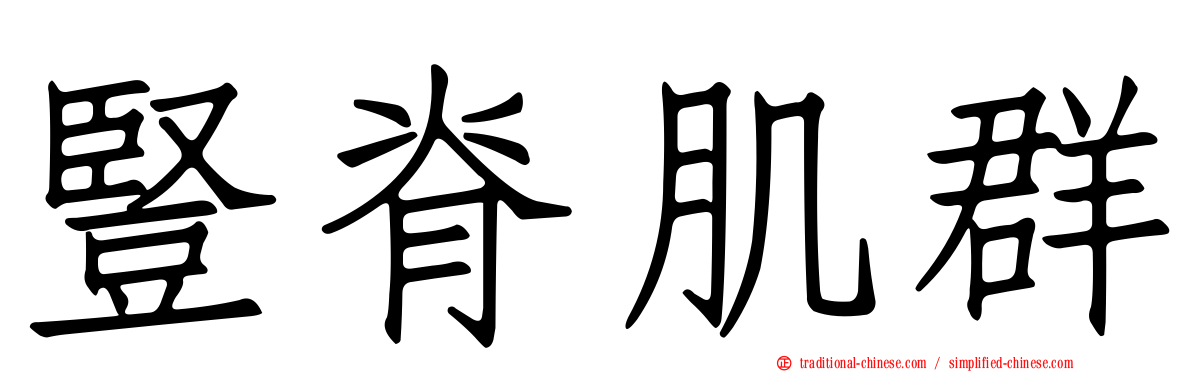 豎脊肌群