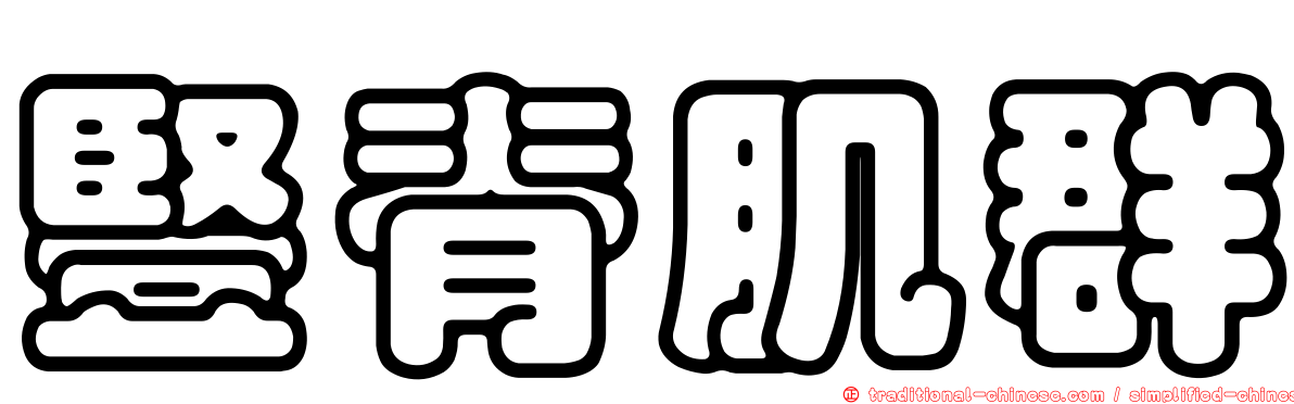 豎脊肌群