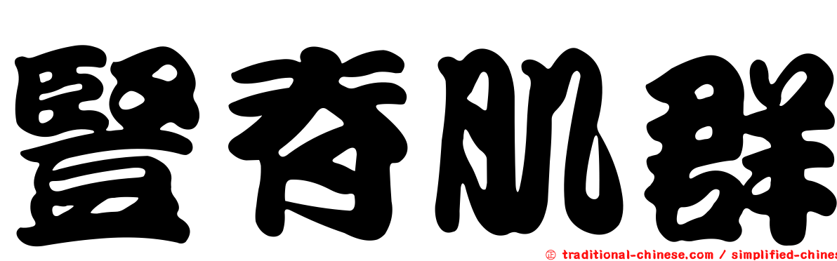 豎脊肌群