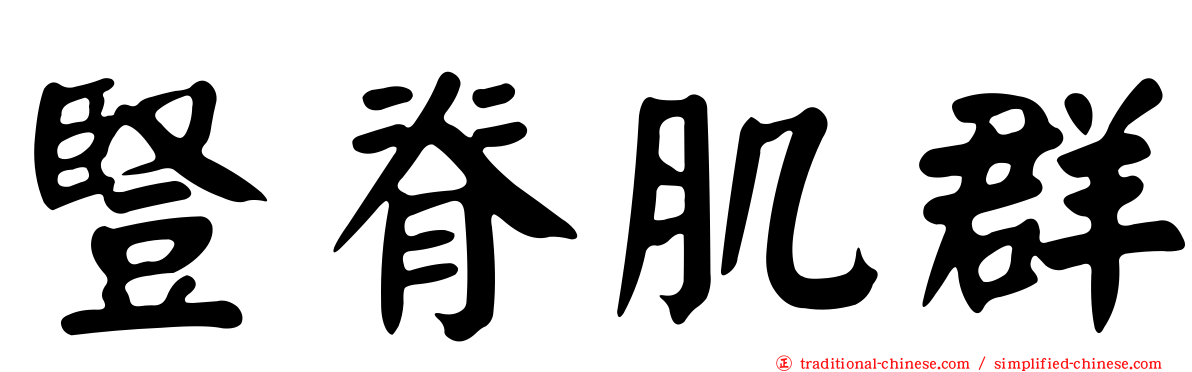 豎脊肌群