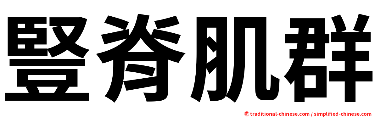 豎脊肌群