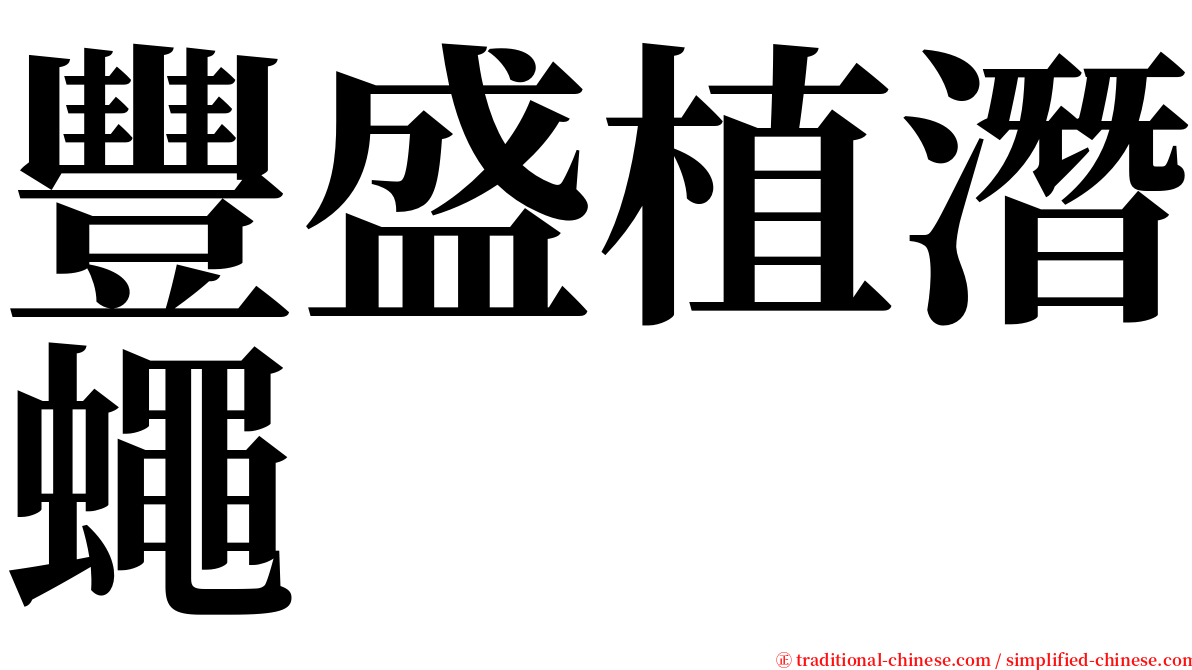 豐盛植潛蠅 serif font