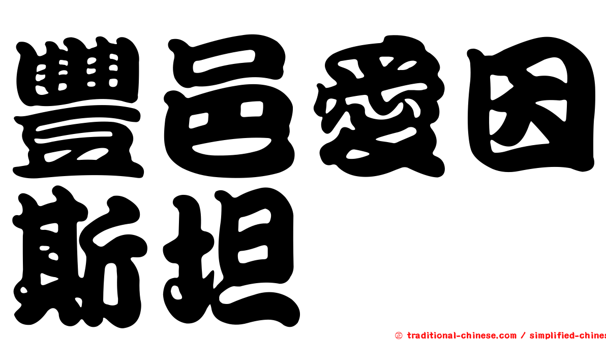 豐邑愛因斯坦