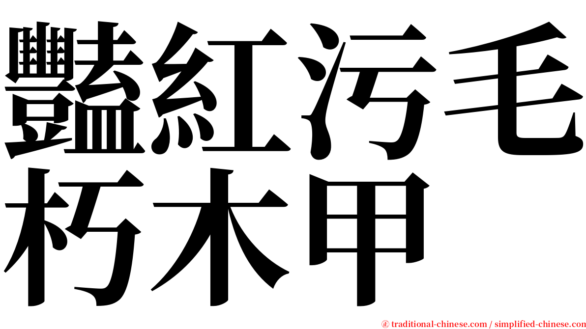 豔紅污毛朽木甲 serif font