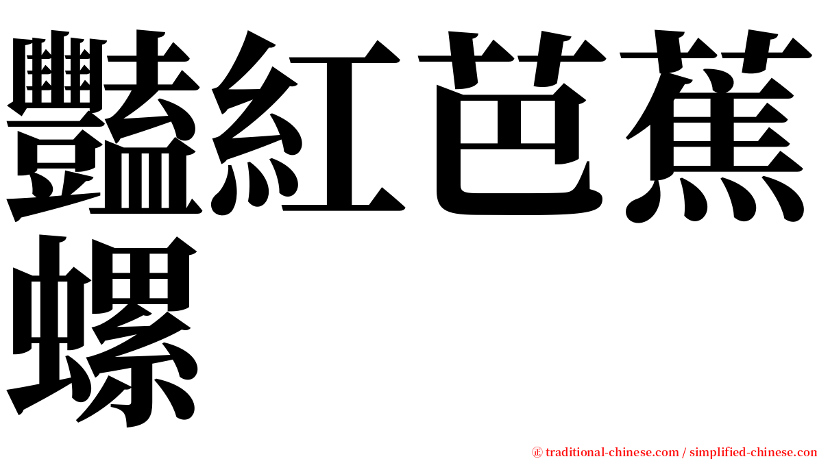 豔紅芭蕉螺 serif font