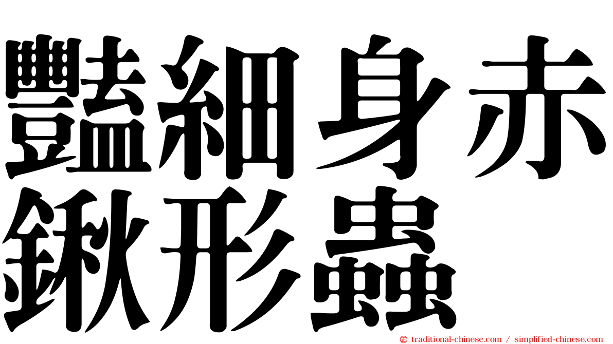 豔細身赤鍬形蟲