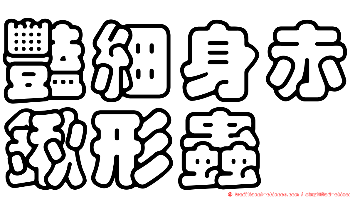 豔細身赤鍬形蟲
