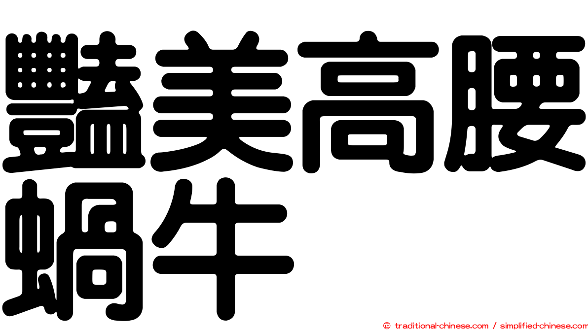豔美高腰蝸牛