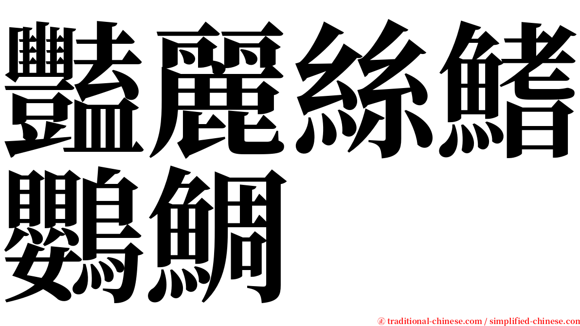 豔麗絲鰭鸚鯛 serif font