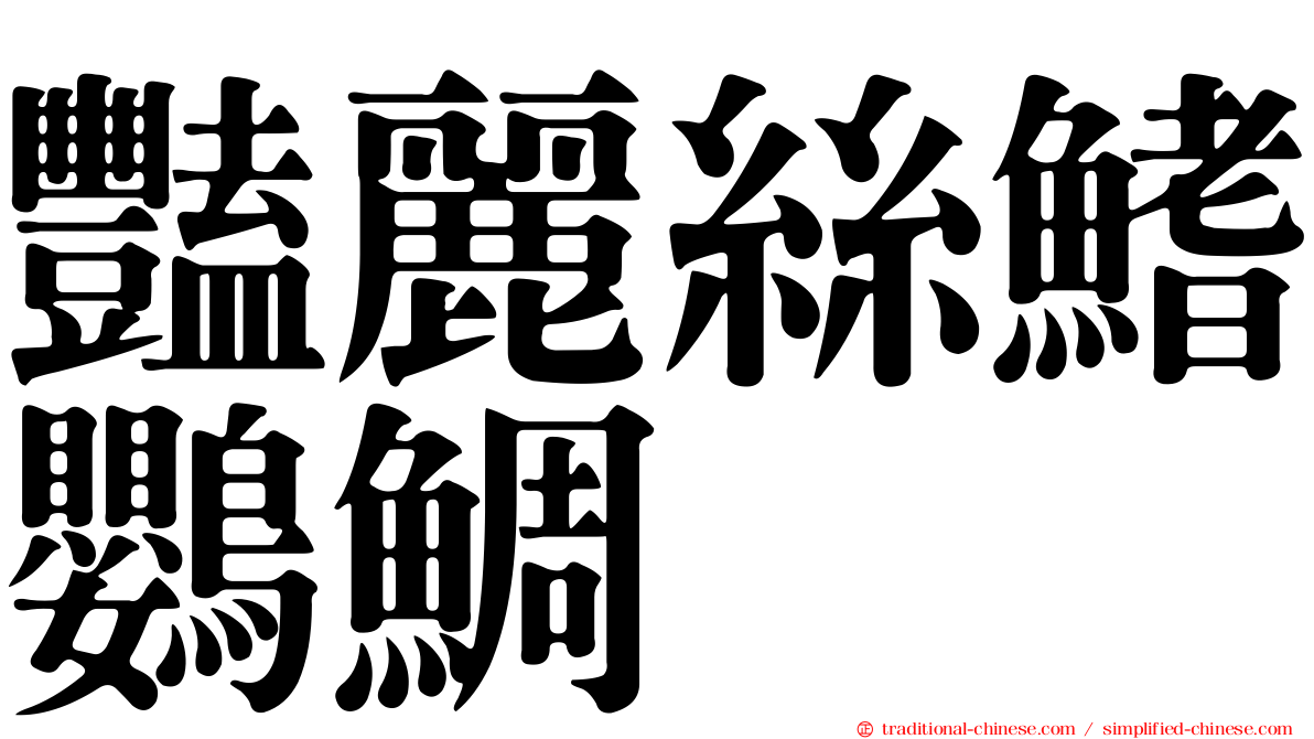 豔麗絲鰭鸚鯛