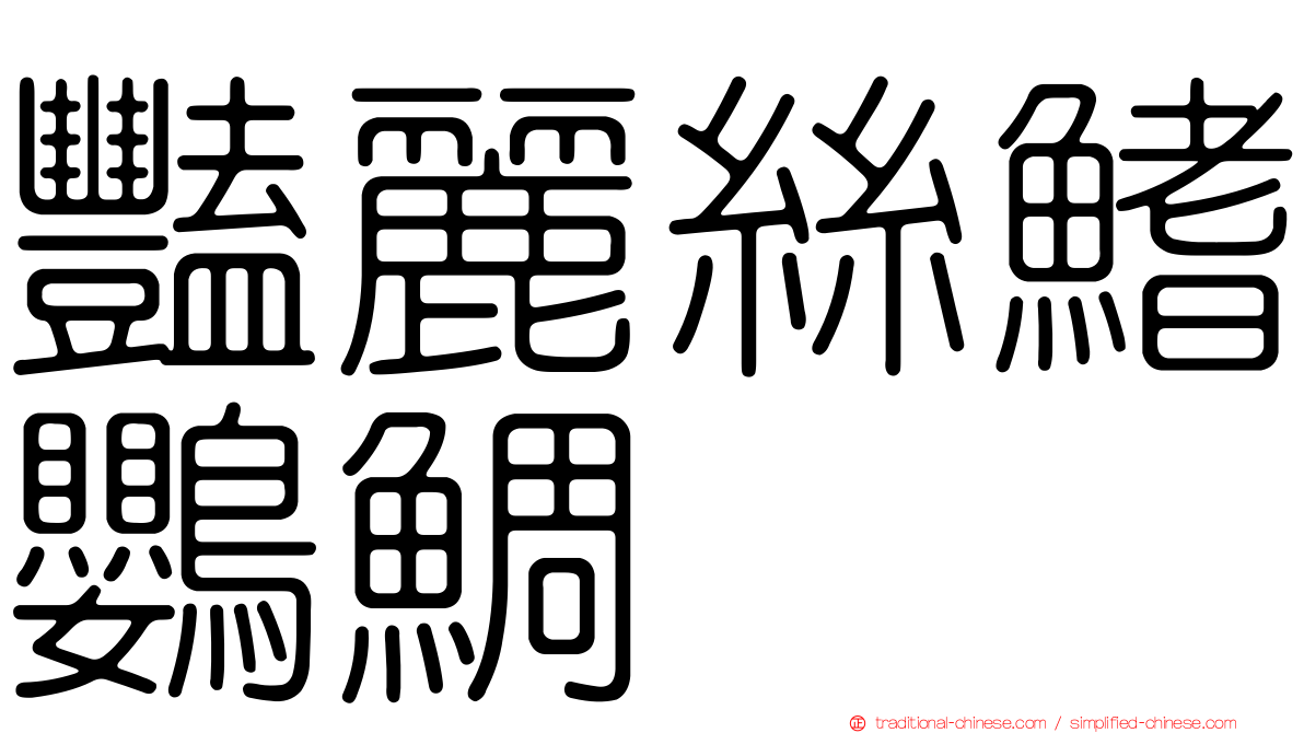豔麗絲鰭鸚鯛