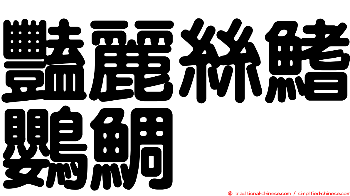 豔麗絲鰭鸚鯛