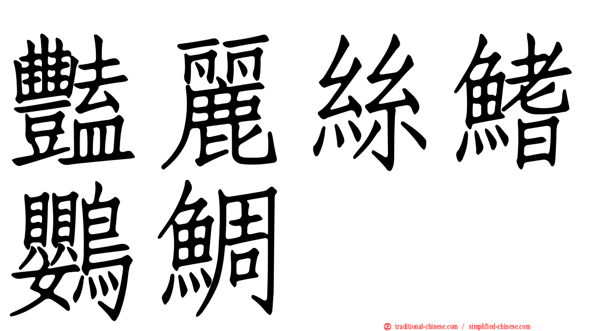 豔麗絲鰭鸚鯛