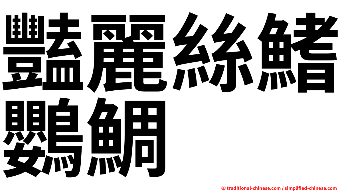 豔麗絲鰭鸚鯛