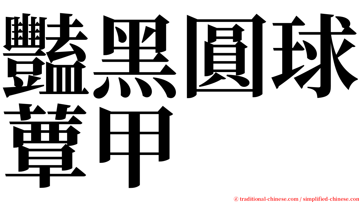 豔黑圓球蕈甲 serif font