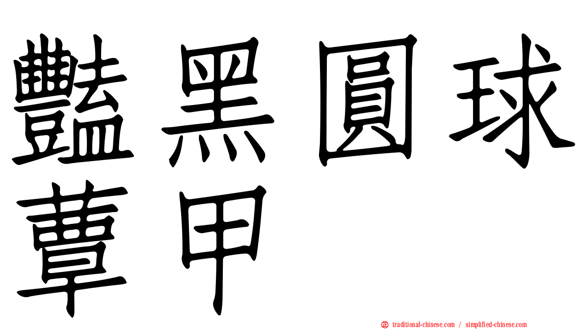 豔黑圓球蕈甲