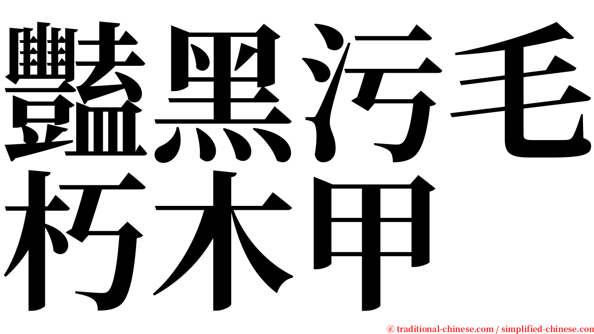 豔黑污毛朽木甲 serif font