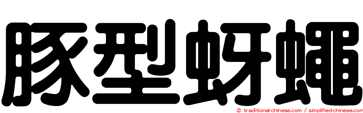 豚型蚜蠅