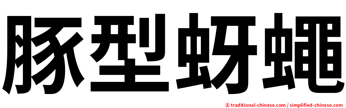 豚型蚜蠅