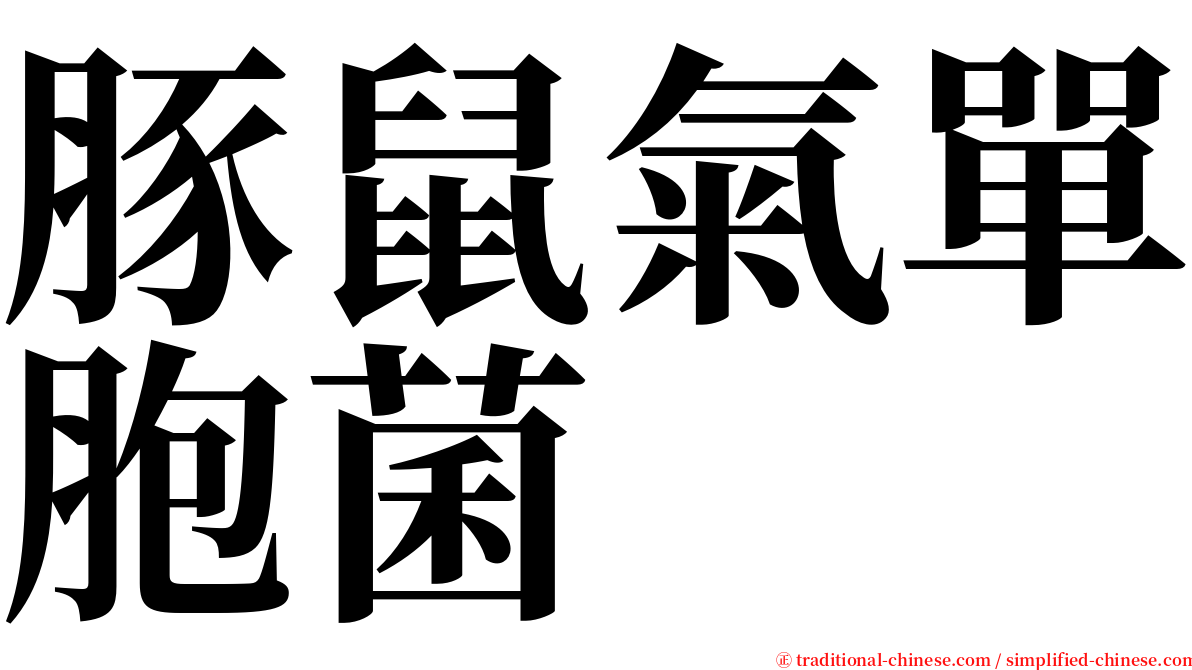 豚鼠氣單胞菌 serif font