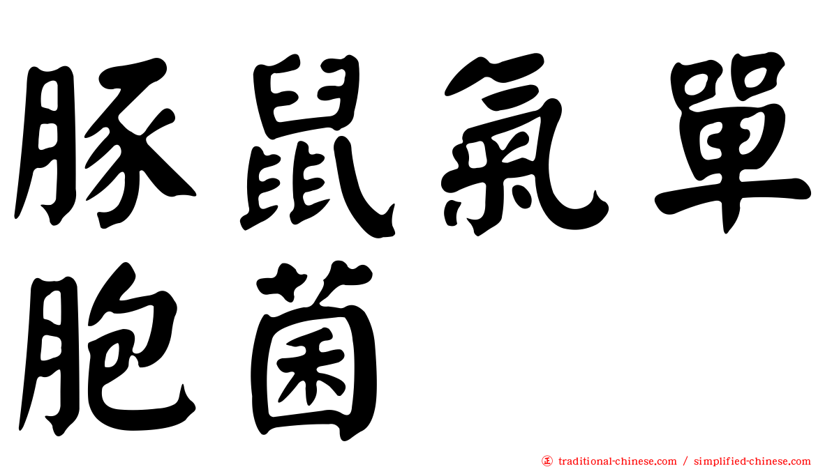 豚鼠氣單胞菌